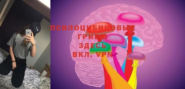 ешки Богданович