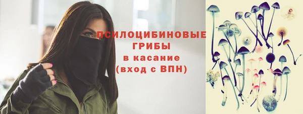 ешки Богданович