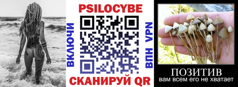 Купить закладки  Сокол  Псилоцибиновые грибы MAGIC MUSHROOMS 